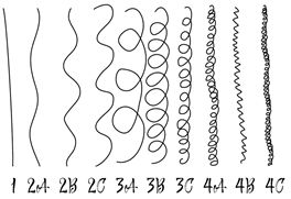 Longueur de la lacewig classification cheveux André Walker